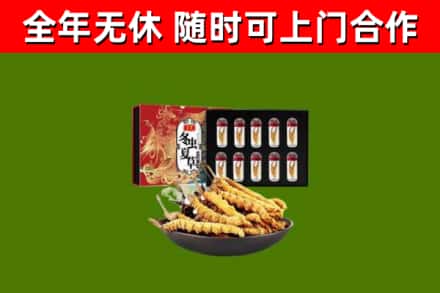 壶关县回收冬虫夏草价格